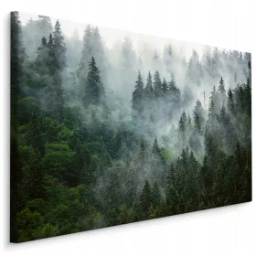 Obraz za dnevno sobo Gozd v megli 3D POKRAJINA 120x80