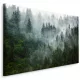 Obraz za dnevno sobo Gozd v megli 3D POKRAJINA 120x80