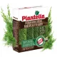 Organsko gnojilo za iglavce Plantella - Mineralno gnojilo za zdravje in lepoto vaših iglavcev
