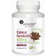 Coleus Forskohlii 10%, 400 mg Kapsule za Podporo Metabolizma in Urejanje Telesne Teže - 100 Veganskih Kapsul