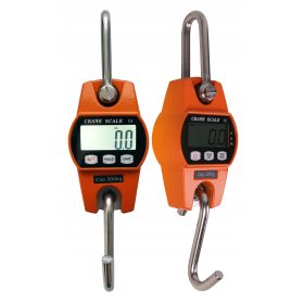 Viseča tehtnica za skladiščenje 300 kg x 100 g