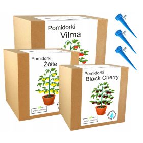 Mešanica setov za gojenje semen češnjevih paradižnikov