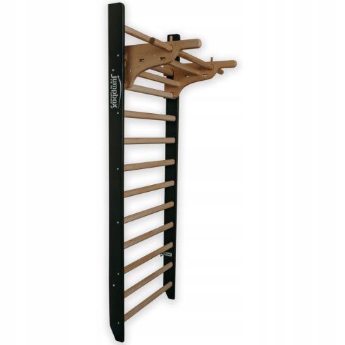JumpBox vadbena lestev 250 cm x 80 cm