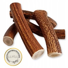 večilka za pse iz jelenovega rogovja XL HARD 17-19 cm