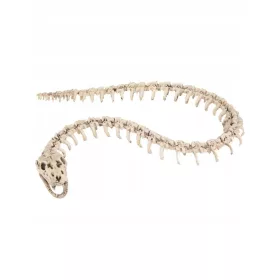 Okvir za sliko Halloween strašni kačji okostnjak 110 cm