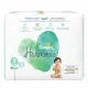 PAMPERS Harmonija plenice velikost 3 6-10kg 31 kosov