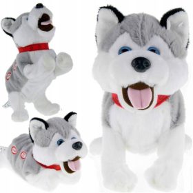 Huskyjev interaktivni pes FIGO REAGIRA NA UKAZE