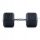 HEX DUMBBELL, gumirana, šesterokotna, 27,5 kg ročica