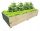 Mini rastlinjak 150 cm x 100 cm les