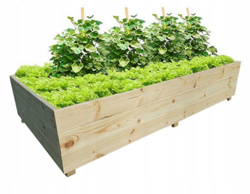 Mini rastlinjak 150 cm x 100 cm les