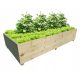 Mini rastlinjak 150 cm x 100 cm les