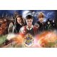  Puzzle Trefl Harry Potter 300 kosov Puzzle 300 Mysterious Harry Potter TREFL 23001