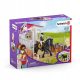 Boks stajenny Schleich - Tori in Princess