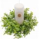 Sveča za obhajilo iz buksusovega venca