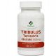 MedFuture Tribulus Terrestris kapsule 60 kos.