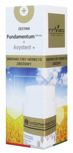 FUNDAMENTUM 700 WG 30 g + Asistent + 100 ml