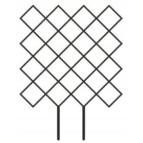  Rastlinska lestev 37 x 28 cm