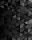 FOTO TAPETE 200x254 Flizelin VZOREC #F111