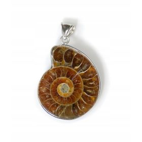 Obesek z amonitom, kovinski okvir