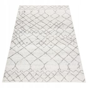 Dywan MALESIA 160x230 Nowoczesny Dywan z Różnymi Wzorami