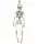 Slovenian Name: Viseči človeški skelet 40cm za Halloween dekoracijo

SEO-Optimized Description:
Viseči človeški skelet je odlična dekoracija za Halloween zabavo. Ta realističen skelet je dolg približn
