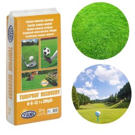 Viano profesionalno organsko gnojilo za obnovo trate