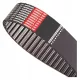  Zobati jermen Optibelt 8M-720-20 HP