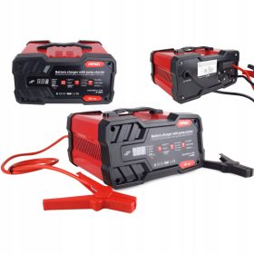 USMERNIK Z ZAGONOM 12V 24V 75A SLA AGM GEL LED