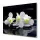 Coloray steklena deska za rezanje, indukcijska plošča Orchidea 60x52