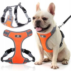   GUARD M ZA MALE PSE | Szelki Astro za male pse - najboljša izbira za vašega ljubljenčka. Szelki so izdelane iz visokokakovostnih materialov, ki zagotavljajo trpežnost, zračnost in udobje. Njihova ergo