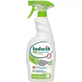 istilna pena za kuhinjo EcoClean