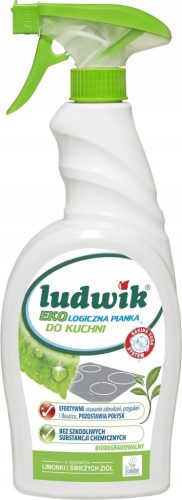 istilna pena za kuhinjo EcoClean