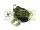  Termostat za pregrevanje MASTER - 4031.047