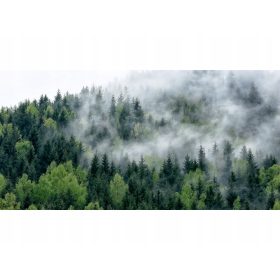 Modna zaščitna podloga za pisalno mizo 120x60 gozd v megli