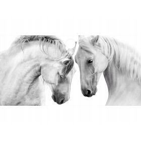 Zaščitna podloga za mizo 105 cm Ikea Micke Konie