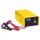 Magnum Agri Inverter 30 12V Avtomatski Prostownik