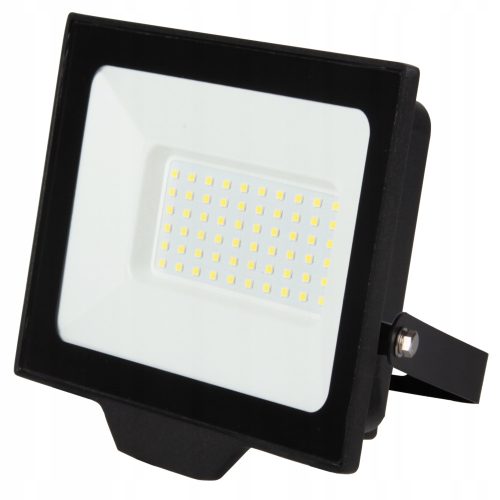 Halogenska svetilka LED Neves 50W 6500K IP65