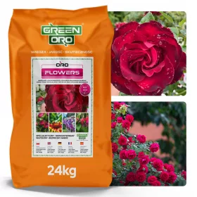   Optimized name: Specializirano gnojilo za vrtnice Green Oro Dolgo delujoče 24 kg

Optimized description: 
Specializirano gnojilo za vrtnice Green Oro je idealno za intenzivno hranjenje in nego vrtnic.