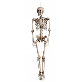   Okostje dekoracija za noč čarovnic 160 cm - Profesionalna dekoracija za Halloween zabave