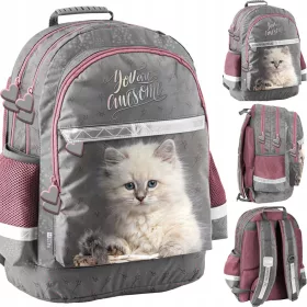   Paso otroški večpredstavni šolski nahrbtnik Shades of pink, Shades of gray in silver, Večbarvno 19 l