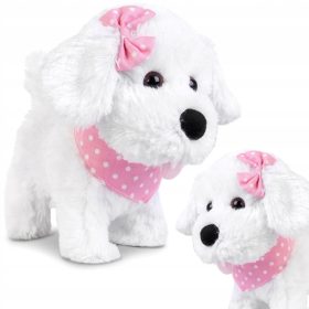 Interaktivni pes na sprehodu na povodcu Natalija 122408