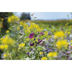  FLOWER MEADOW Medena mešanica za čebele 200g