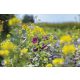 FLOWER MEADOW Medena mešanica za čebele 200g