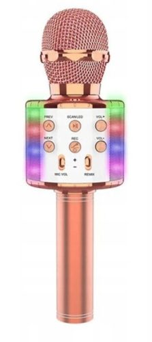 Otroski komplet za karaoke Gospod in gospa Gadget RF-335