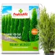 FruktoVit profesionalno gnojilo za tujo 10 kg