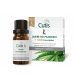 Revitalizacijski lak za nohte s CBD kanabidiolom za zdravljenje oniholize in luskavice, 10 ml