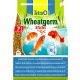 Tetra Pond Wheatgerm Sticks za ribe v jesenskih in spomladanskih mesecih 7L