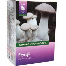    Set za gojenje gob Planto ostrigar eryngii v obliki suhega substrata z micelijem 3 kg