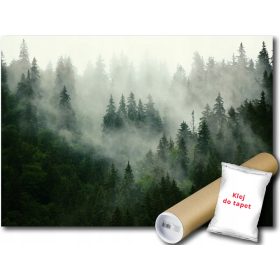 FOTO TAPETA GOZDNO DREVESE 19A F2XL 312x219 F13026