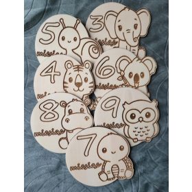 OTROŠKA ALBUMSKA KARTICA Z MESECI 100%